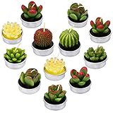 LA BELLEFÉE Cactus Tealight Candles, Smokeless Handmade Cute Mini Plants Candles - Perfect for Home Decor/Birthday Gift/Wedding Props/House-Warming Party - 12 Pack