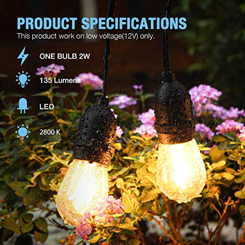 Goodsmann Outdoor Low Voltage String Lights Multicolor Dimmable 10 Rgbw 3W 145 Lumens Bulbs Landscape Lighting 50 Ft Cable With 6 Pk Non Dimmable Led 2W 135 Lumens Glass Bulbs With Wire Connector #TOP6
