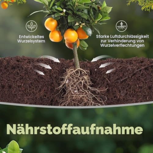 OFFCUP 6X 11L Pflanzsack Vliesstoff 100Taschen 3Gal Griffe – Ansicht 6