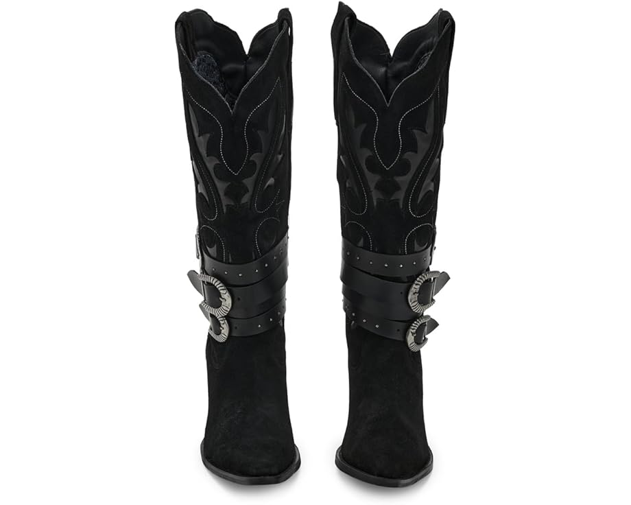 Dingo Buck Wild - Top View