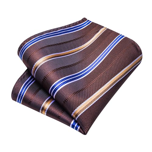 Image of DiBanGu Silk Ties for Men Necktie and Lapel Pin Brooch Set Formal Woven Paisley Plaid Striped Solid Tie Wedding Party