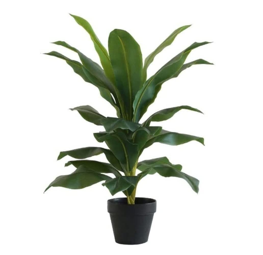 Jyarz A Rtificial Tree Modern Simple Rtificial Plants Tree Potted Plant Tree Office Decoration Greenery Simulation Tree Fake Plants Pot Rtificial Plants For Office (Color : Size : High 58Cm)