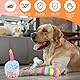 JazRvr Hunde Geburtstag Spielzeug Set, 3 Teile Hundespielzeug, Kleiner Kuchen, Blumenknochen und Regenbogenknochen, Geschenk für Hundebesitzer, Ideal für Geburtstagsfeiern und Tägliches Spielen