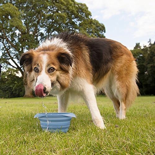 Miniatura 5 de Kurgo Collaps-A-Bowl - Cuenco De Viaje Plegable Para Perros, Cuenco Para Agua Y Comida, Accesorios De Viaje Para Mascotas - 0,7 L, Azul
