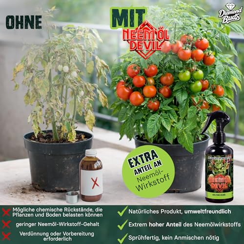 Bio Neemöl Devil® EXTRA STARK – 500ml Sprühfertig – Pflanzenpflege & Vitalität – 4-in-1 Mischung aus Neemöl, Rosmarinöl, Lemongrasöl & Brennesselextrakt – Natürlich & sanft zur Pflanze 3