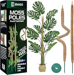 K-Brands Moss Pole (2 Pack, 122 cm/48 In/ 4 ft)