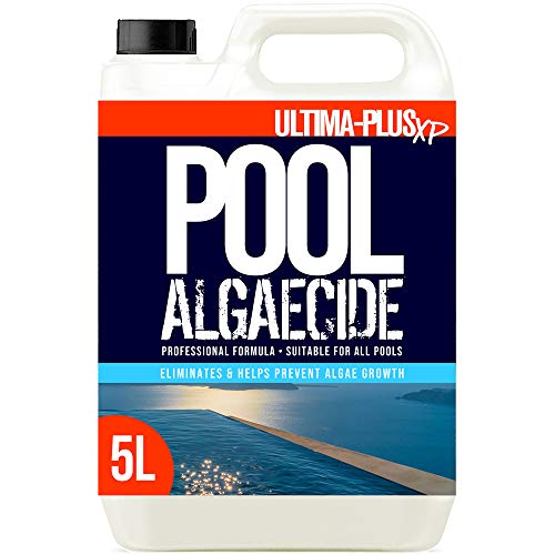 UK Best Algaecide For Pools (June 2023)