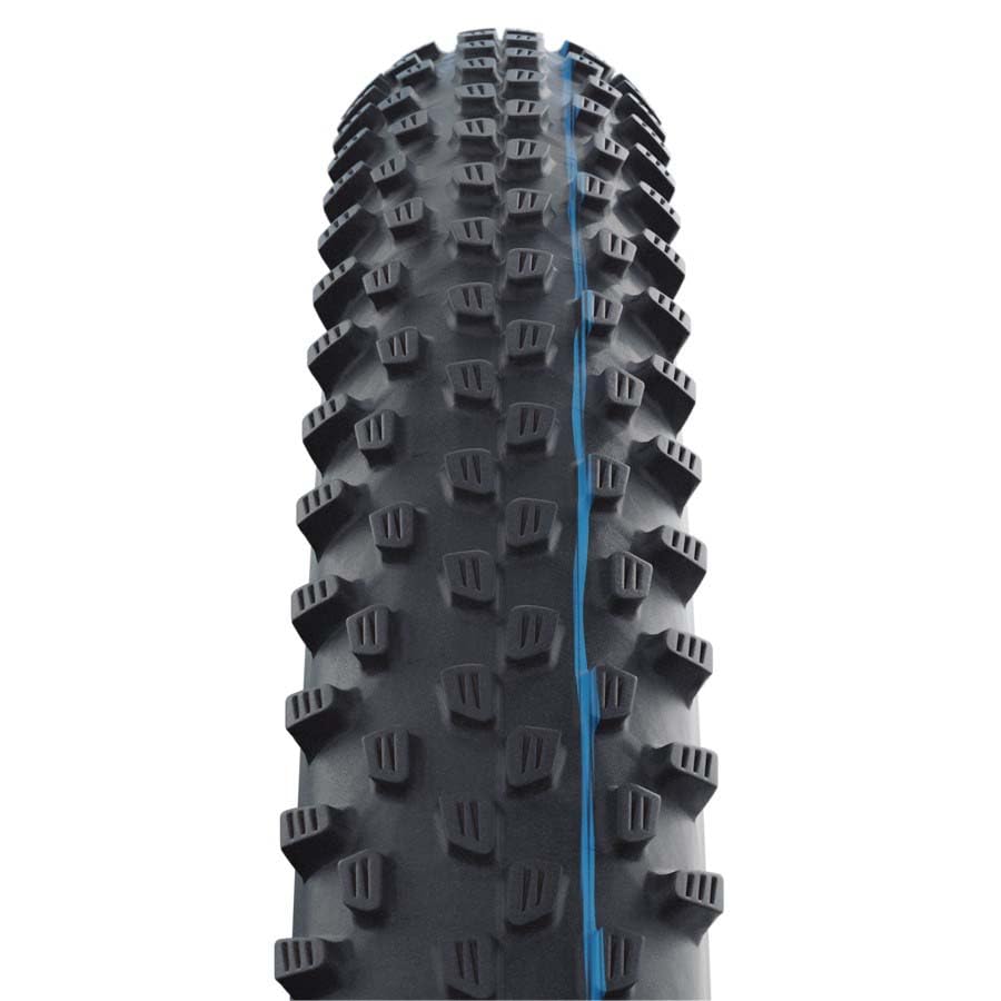 Amazon | シュワルベ 【正規品】 レーシングレイ 29×2.25 ケブラー