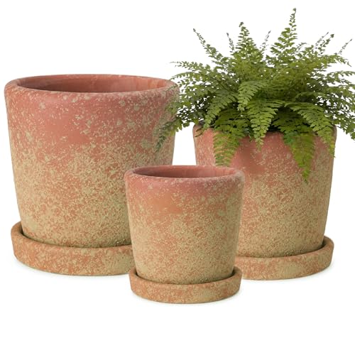 Yungyan Set of 3 Rustic Terracotta Planter Pot and...