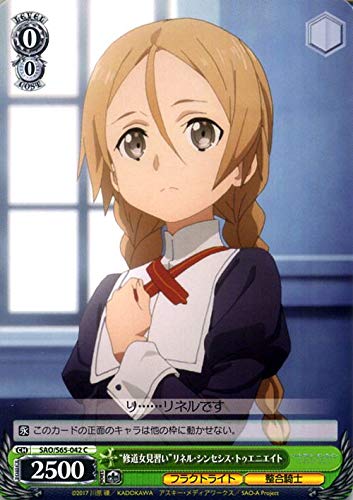 Amazon.co.jp: ヴァイスシュヴァルツ ソードアート・オンライン アリシ