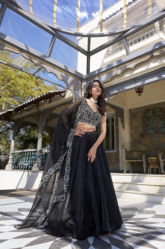 Image of LooknBook Art Womens Women Lehenga Choli