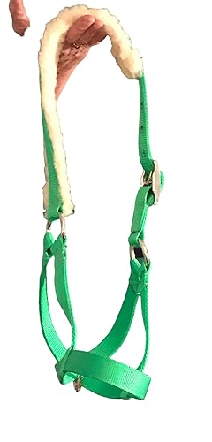 Miniatura 1 de Padded Cattle Halters Bull Cow Yearling Calf Newborn (Calf, Lime Green)