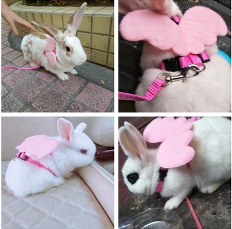 Image of Hypeety Rabbit Harness and Leash Set Escape Proof - Adjustable Bunny Vest Harness for Rabbits with Cute Angel Wings Design (Pink)