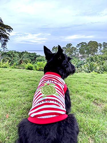Parisian Pet Turtle Tee Dog Clothes Tee T-Shirt, Xs #TOP5