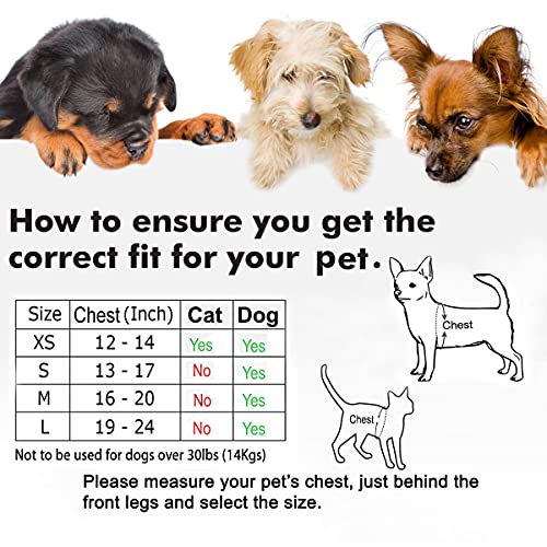 Pettorina per cani di piccola taglia con