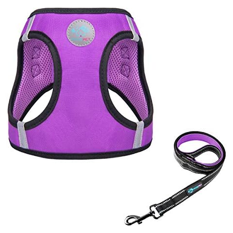 PHOEPET Step-in Dog Harness and Leash Set, Reflective Adjustable Dog Vest Harness, Soft Pet Walking Jacket with 2 Metal Leash Hooks for Dog and Cat (Purple, XXL) Cover