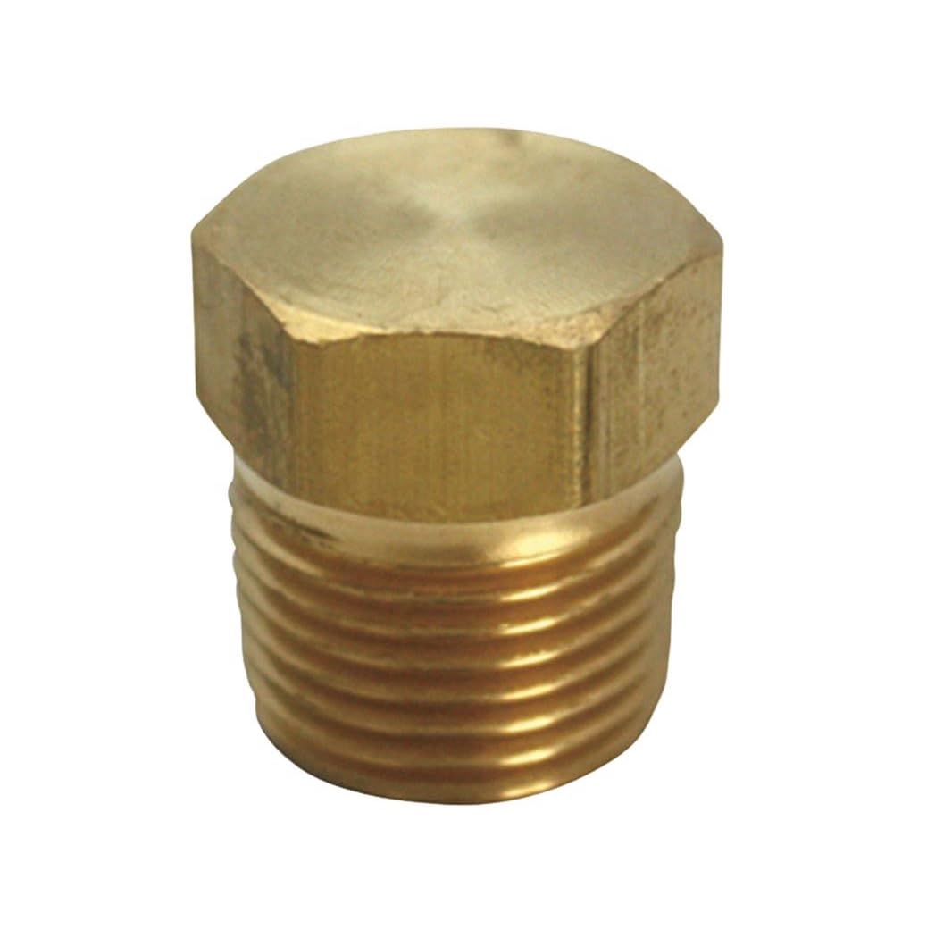 Homeplus+ 6jc120810701017 Mpt Hex Head Plug, Brass