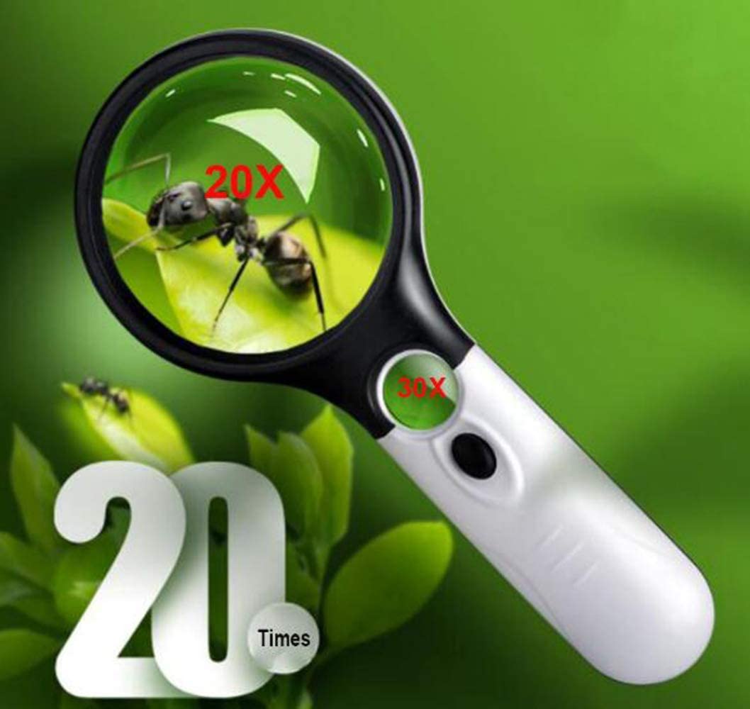 Handheld LED-vergrootglas met lens met een diameter van 20 mm voor verlicht leze Handheld LED-vergrootglas met lens met een diameter van 20 mm voor verlicht leze