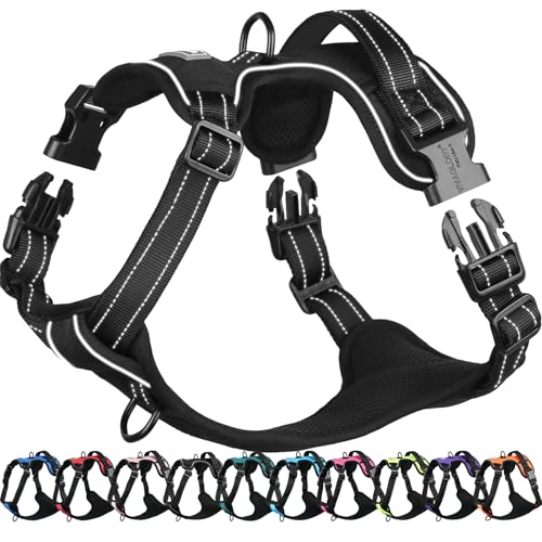 VIVAGLORY Easefit Hundegeschirr, Zugstopp Hundegeschirr Geschirr Hund Mit Griff, Anti Zieh Geschirr Für Hunde Training & Spazieren, Gepolstert & No-Pull Ausbruchsicher für Hunde, M, Schwarz VIVAGLORY Easefit Hundegeschirr, Zugstopp Hundegeschirr Geschirr Hund Mit Griff, Anti Zieh Geschirr Für Hunde Training & Spazieren, Gepolstert & No-Pull Ausbruchsicher für Hunde, M, Schwarz
