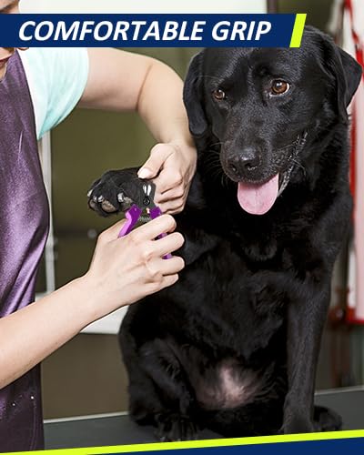 WePet Dog Nail Clippers U10.1, Dog Nail Trimmer Large Breed with Quick Sensor, Razor Sharp Blade Professional Pet Nail Clipper with Safety Guard and Nail File, Purple - image 6