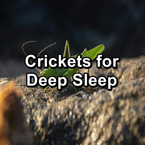 Crickets for Deep Sleep by Cricket Sounds & Nature Noise & Sleep