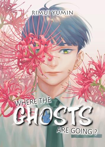 Couverture de Where the ghosts are going ?