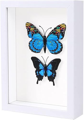 Miniatura 13 de KAPIX Caja Expositora Shadow Box Pequeña de 4x6 Pulgadas con Marco de Fotos de Vidrio Real, Caja de Exhibición de Madera Profunda para Flores