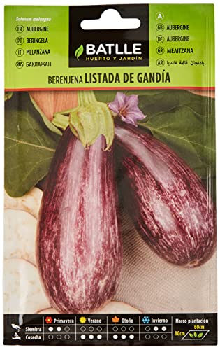 Semillas Batlle – Aubergine Aubergine de Gandie