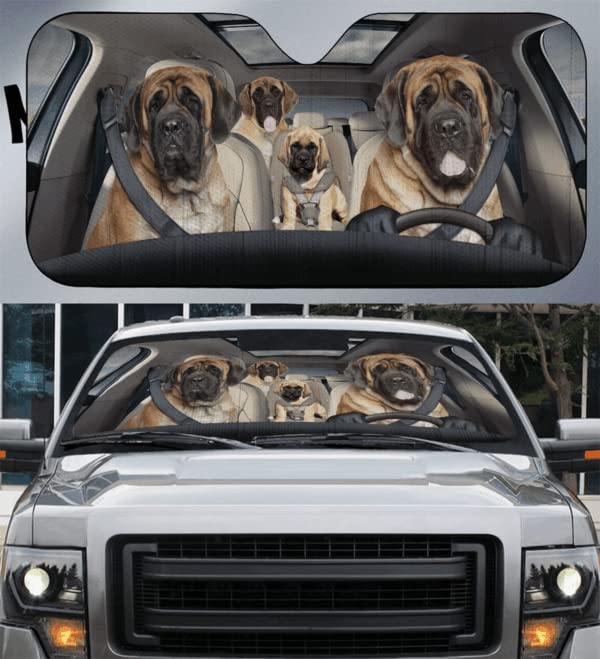 Pare-soleil voiture universelle protection pare-brise intérieur anti-UV taille M