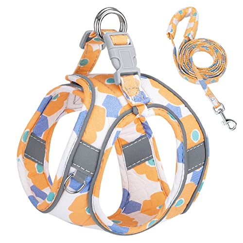 Find The Best Cat Harness For Traveling Reviews & Comparison Katynel