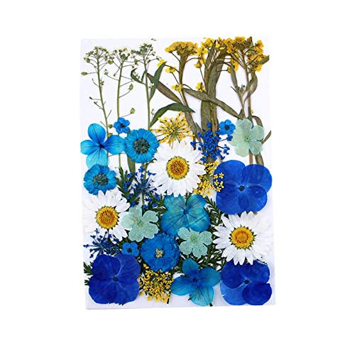 30 piezas flores secas prensadas para manualidades miniatura 1