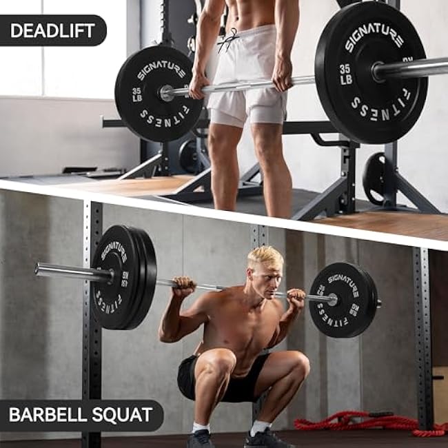 2 Olympic Bumper Plate Weight Plates with Steel Hub, Pair, Updated