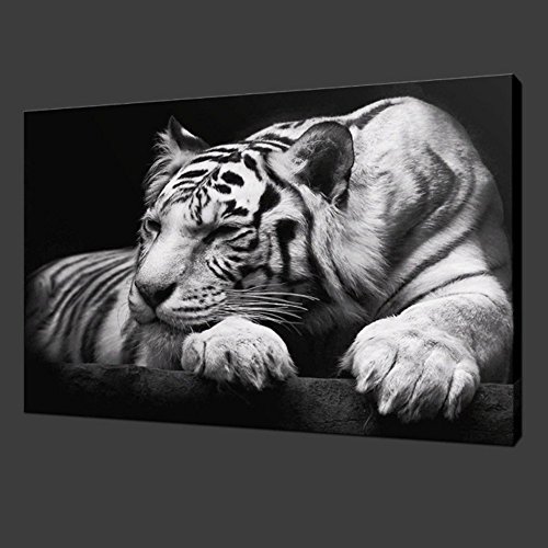 GOUPSKY New Modern Wildlife Wall Painting Animal Black and White Tiger Poster Paint on Canvas Prints Home Decorative Art Picture (16x20inchx1pcs(40x50cmx1pcs))