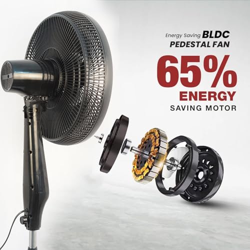 Image of Blueberry's LEE 35-Watts 400-mm BLDC Pedestal Staing Fan,7-Speed Remote with Oscillation,Timer, Sleep,Ideal for Home & Office 2-Year Warranty (Midnight Black) (Eco)