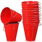 Sadnyy 12 Pack Metal Buckets with Handle, Galvanized Bucket 4.5 x 5 Inch Basket Bucket Party Supplies, Crafts for Christmas Halloween Candy Bars Vase Crafts(Red)