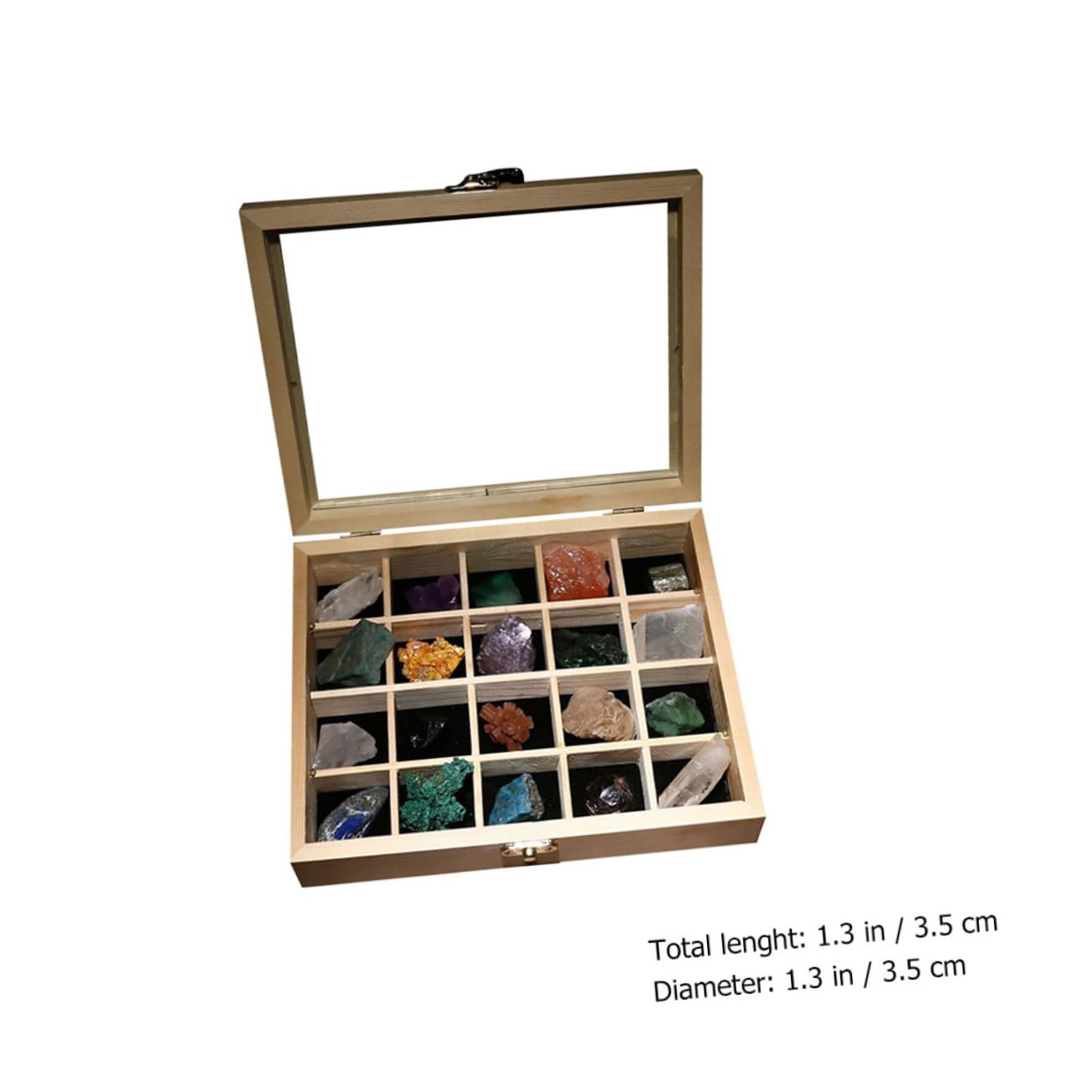 20 Stück Teiliges Mineralien Natursteine Sammlungsbox für Geologische Lehrproben für