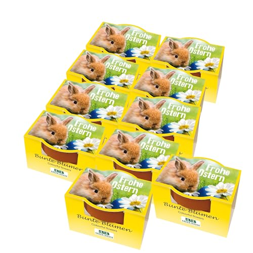 Bull & Bear 10er Set Mini Pflanzset 'Frohe Ostern' mit Blumensamen im Topf 4,5cm, Bunte Blumen als...