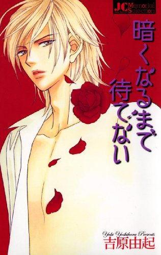 『暗くなるまで待てない』