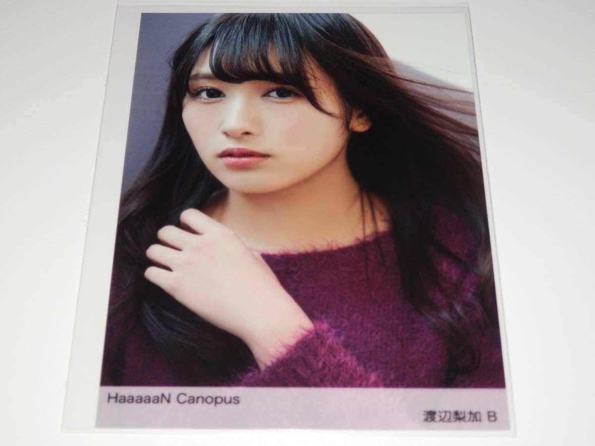 Amazon.co.jp: 欅坂46 HaaaaaN Canopus + 渡辺梨加 写真4枚コンプ WEB