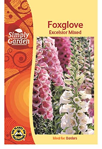Simply Garden Foxglove Excelsior Mixed Seeds Grow Your Own Multicoloured Flowers