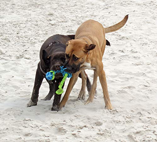 Dingo Mop Bungee Blau Mikrofaser mit Vanille Duft Ball Hundespielzeug Agility Apporte zum Spielen Tauziehen Beweglichkeit Wassertraining 15587-2