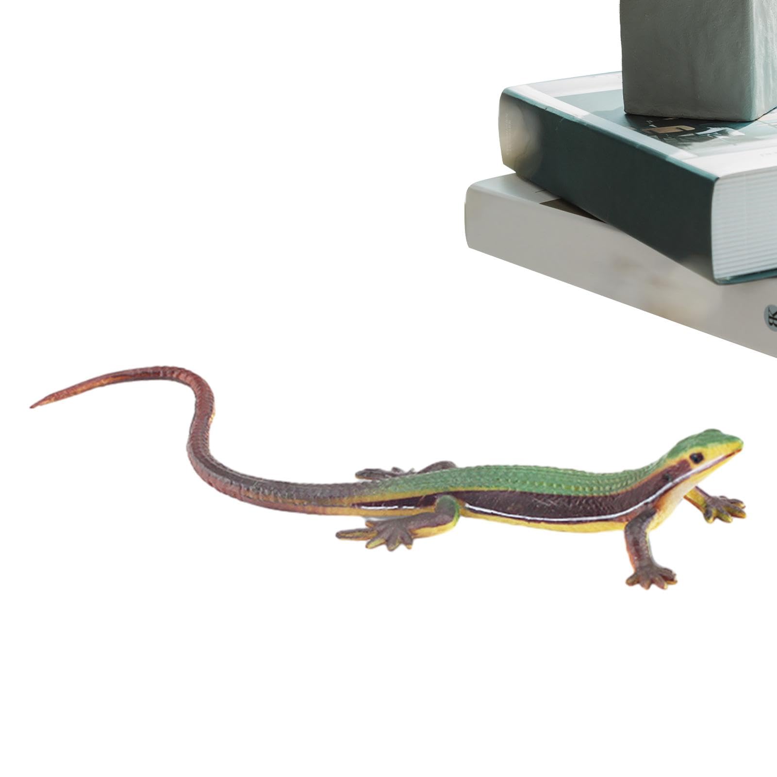Amazon.co.jp: Patonde リアルな偽トカゲ - 写真人工モデル爬虫類