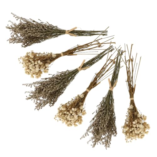 Set de 6 Ramilletes de Flores Secas Babysbreath Decorativas miniatura 1