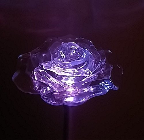 Beautiful Solar Clear Rose Light , Multi-Color Color Changing Flower Garden Stake Outdoor Yard Decor Landscape Led Lamp Lights, Great Gift By Florals #TOP7
