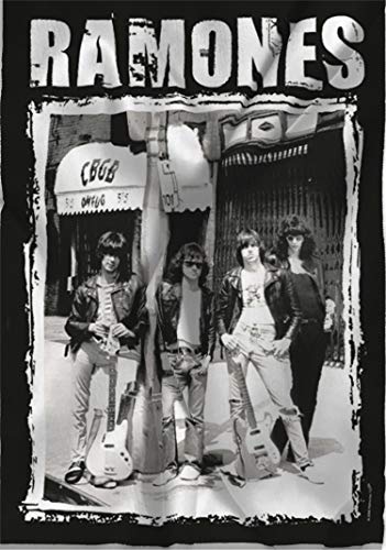 Flagline Ramones - CBGB Textile Poster