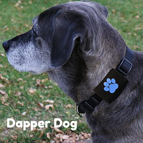 Dapper Dog Pet Tag Silencer And Airtag Holder (Black With Blue Paw) #TOP5