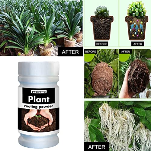 Alvinlite Bewurzelungspulver für Stecklinge 50g, Wurzelhormon besteht aus Aminosäuren, Rooting Powder, Wurzelstimulator, Neue Pflanzen aus Stecklingen Für Zimmerpflanzen, Sträucher – Bild 4