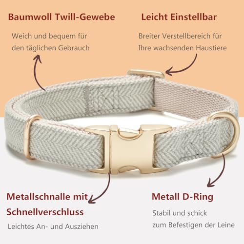 YUDOTE Hundehalsband und Leine Set Klein, Weiche Reizfreie natürlicher Baumwolle mit Twillgewebe für Hund mit empfindlicher Haut, Grau