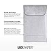LUXPaper #1 Coin Envelopes in 80 lb. Silver Metallic, Envelopes for Coin Collections, Garden Seeds, Stamps, and More, w/Moistenable Glue 250 Pack, Envelope Size 2 1/4 x 3 1/2 (Silver)