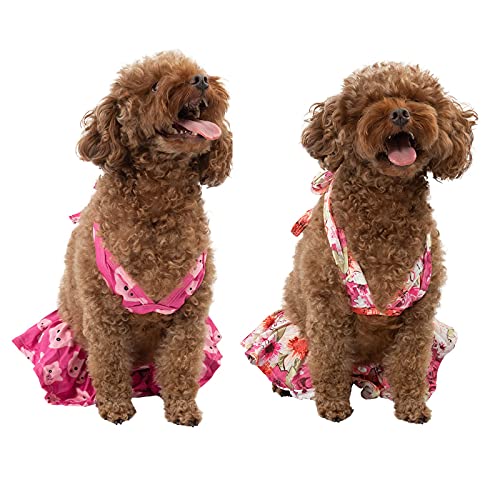 Image of CuteBone Dog Bikini Dress 2 Pack, Stylish Swimsuit Costume for Small Dogs, Comfortable & Adjustable Puppy Bathing Suit, Soft Outfit Pet Apparel for Beach, Pool and Summer Fun 2DB02S